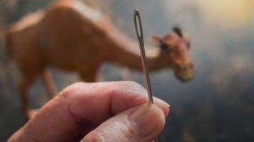 Camel and a needle