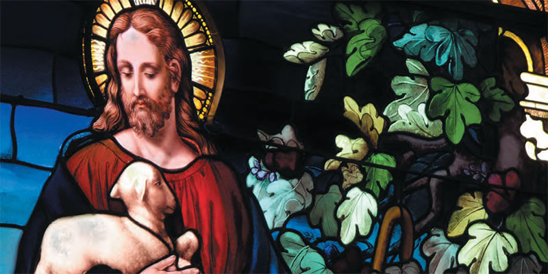 Stained glass window of Jesus holding a young lamb