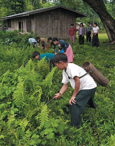 School children chopping weeds