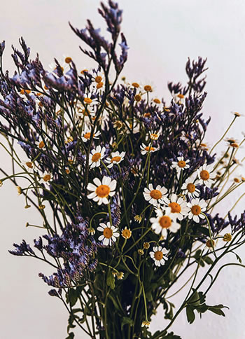 A bouquet of wildflowers