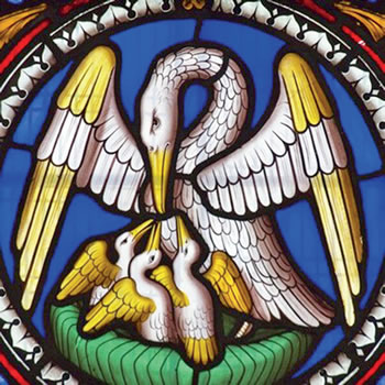 Stainded glass window of a pelican in her nest with chicks her nest with 