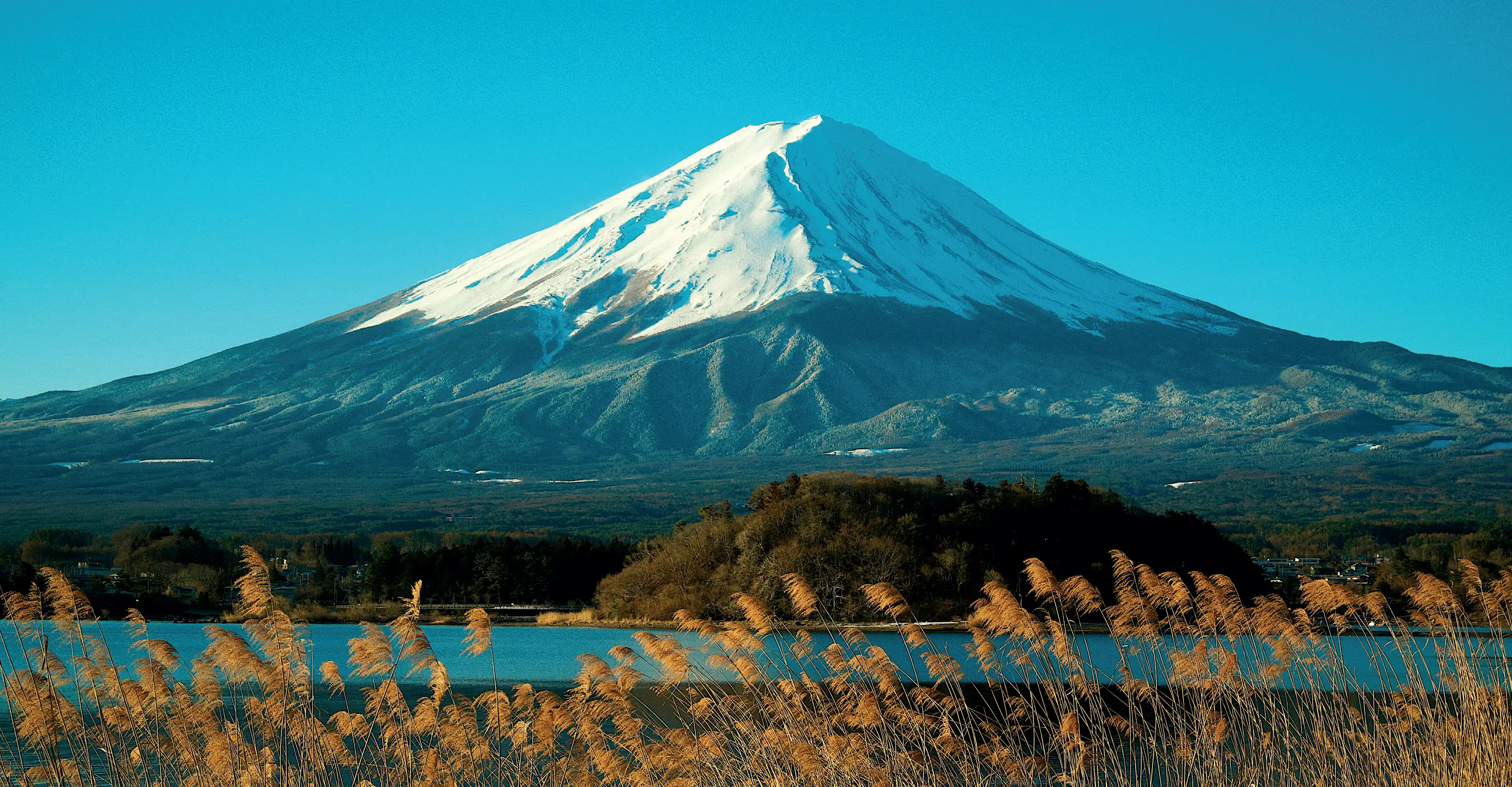 Mount Fuji