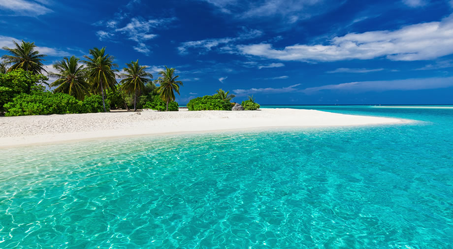 Fiji island beach