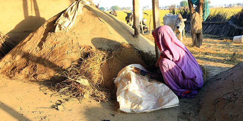 Child filling grain sack