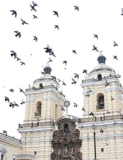 Birds flying around the steeples of a church
