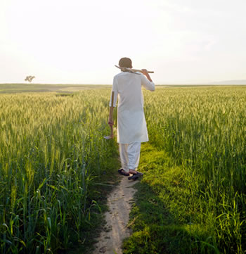 Farm worker walking the field