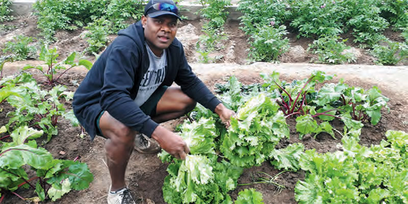 Iowane the gardener!