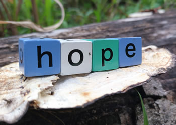 Wood blocks sitting on rocks in a field spell out hope.pe