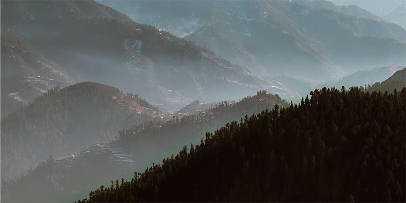 Fog hanging over rolling hills