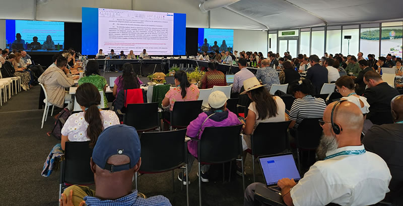 People attending the meeting session