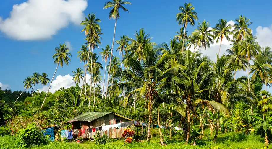 Village house in Fiji