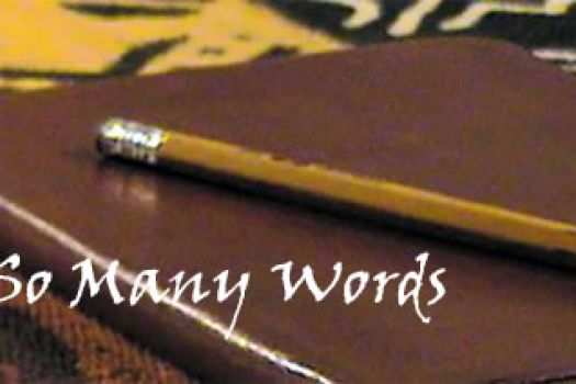 Diary - In So Many Words