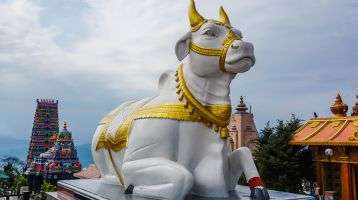 Statue of the sacred cow in Namchi Chardham in Sikkim, India