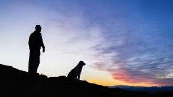 Man and his dog on a hillside watching the sun set.