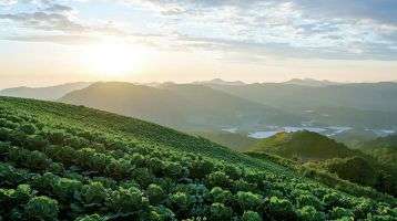 Korean countryside 