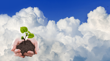 Hands extend from the clouds holding a seedling.