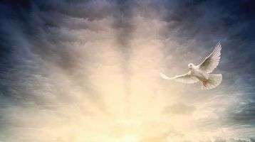 October 2021 is Mission Month