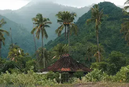 A building in the Fijian wilderness surrounded by palm trees.