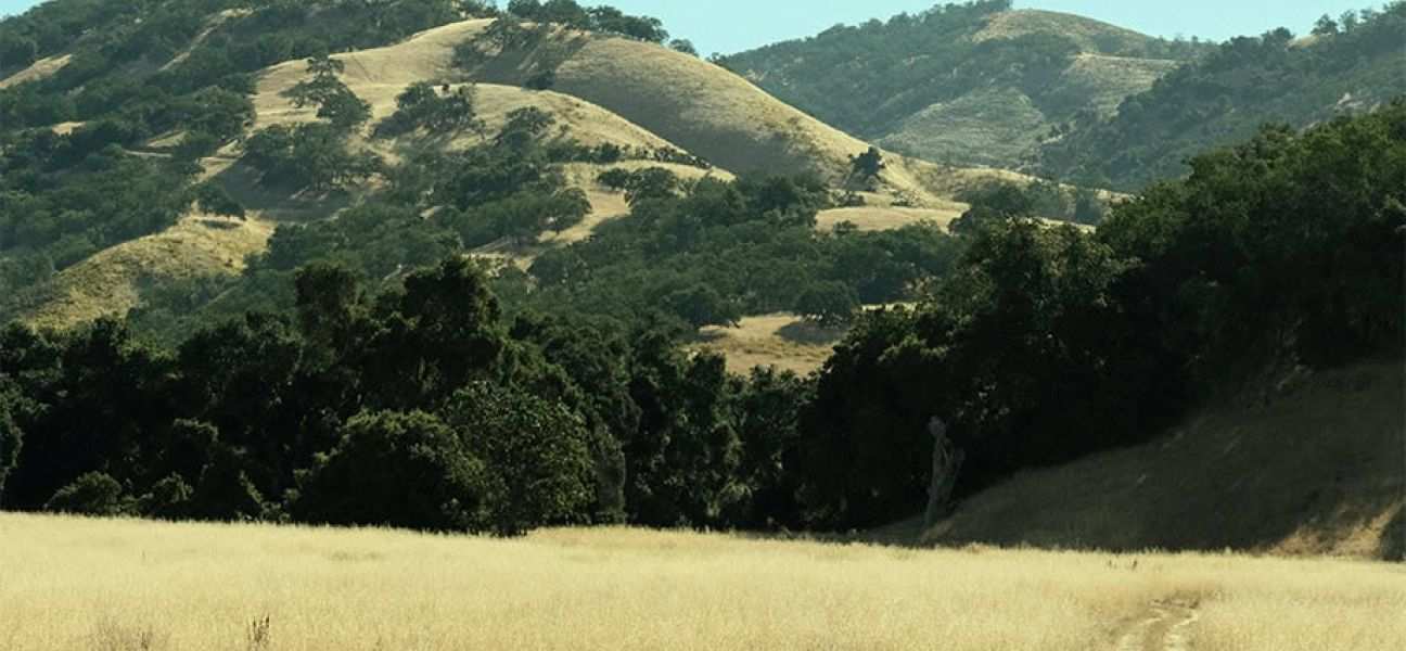 A farm field surrounded by mountains