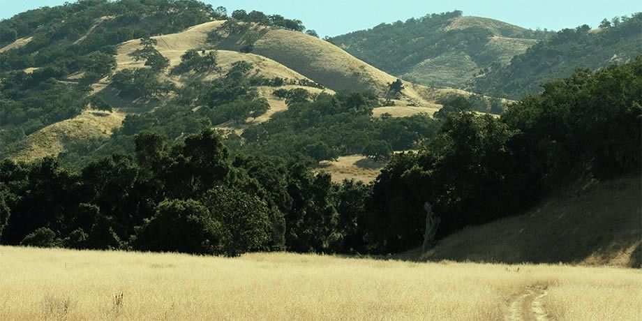 A farm field surrounded by mountains