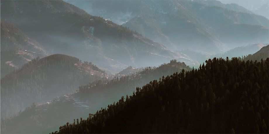 Fog hanging over rolling hills