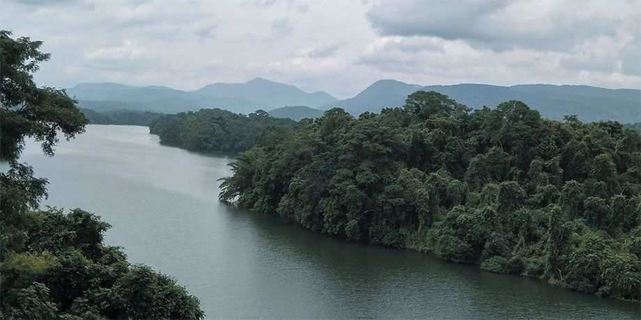 A river cuts through a forest surrounded by mountains.