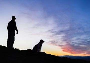 Man and his dog on a hillside watching the sun set.