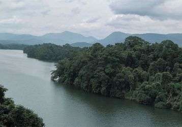 A river cuts through a forest surrounded by mountains.